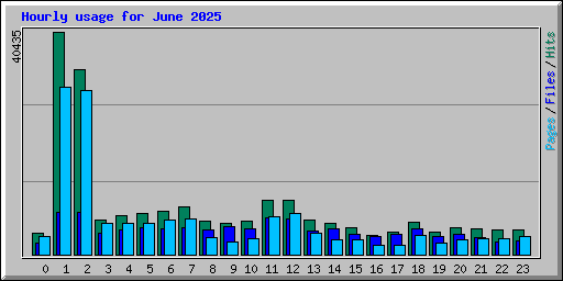 Hourly usage for June 2025