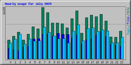 Hourly usage for July 2025