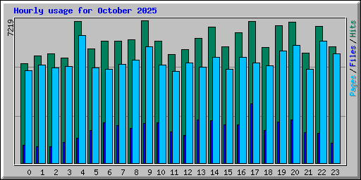 Hourly usage for October 2025