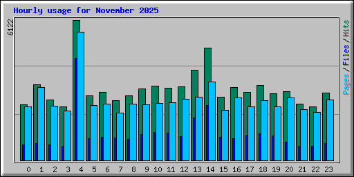 Hourly usage for November 2025