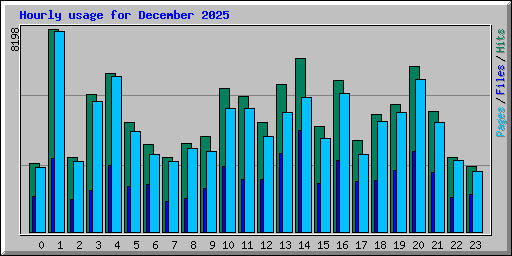 Hourly usage for December 2025