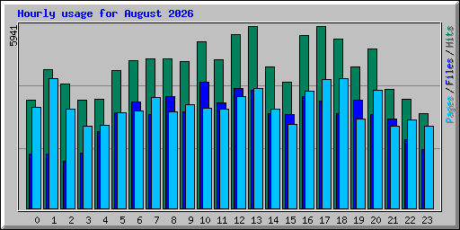 Hourly usage for August 2026