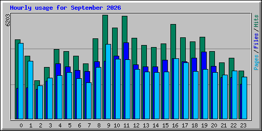 Hourly usage for September 2026
